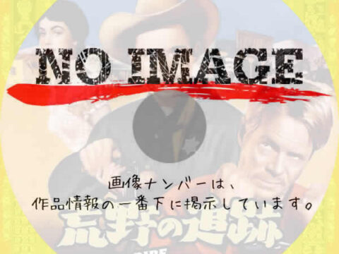 荒野の追跡　(1954)