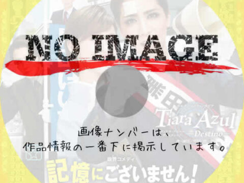 宝塚歌劇 星組公演 政界コメディ 「記憶にございません！」/「Tiara Azul －Destino－」　(2024)