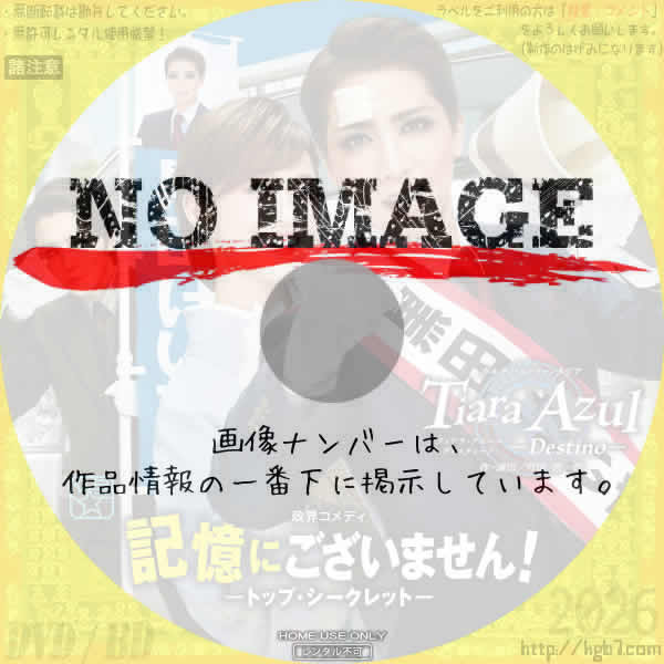 宝塚歌劇 星組公演 政界コメディ 「記憶にございません！」/「Tiara Azul －Destino－」　(2024)