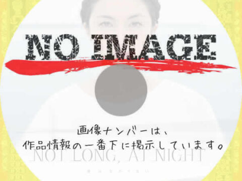 NOT LONG, AT NIGHT 夜はながくない　(2012)