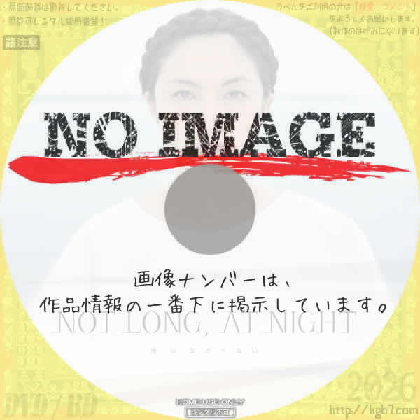 NOT LONG, AT NIGHT 夜はながくない　(2012)