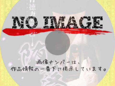 堕落 背徳妻の憂鬱　(2013)