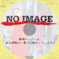 新歌舞伎町ストーリー 花のあすか組!　(1987)