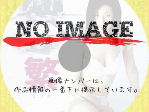 繁 しげみ　(2004)