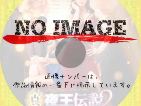 真・夜王伝説２　ネオン街No.1の夢と肉欲の罠　(2023)