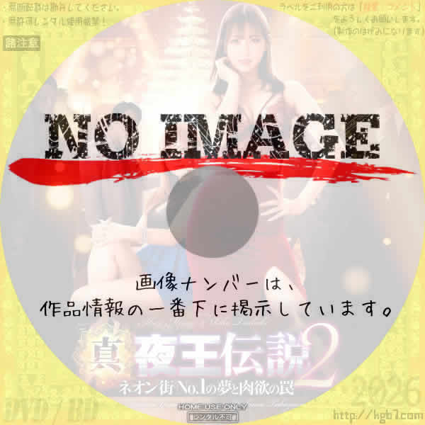 真・夜王伝説２　ネオン街No.1の夢と肉欲の罠　(2023)