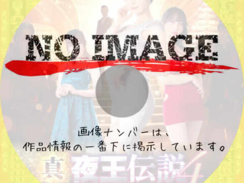 真・夜王伝説４　ネオン街No.1への甘美で危険な道　(2023)
