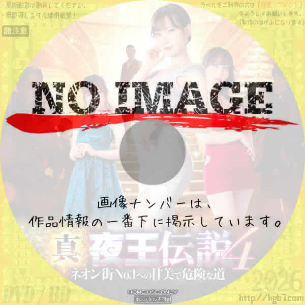 真・夜王伝説４　ネオン街No.1への甘美で危険な道　(2023)